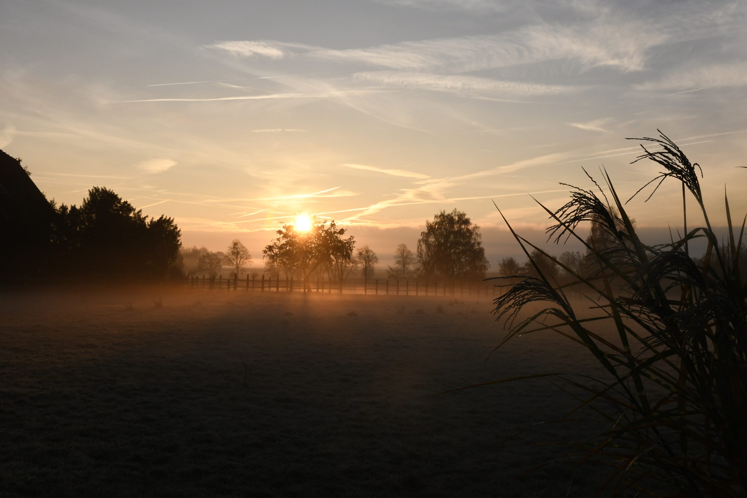 Meerbruchwiese November2